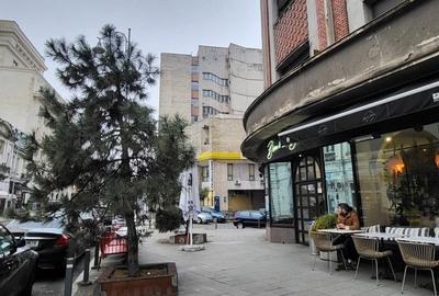 Inchiriere apartament 2 camere, 3 bai, Calea Victoriei-Beldiman - 18