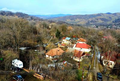 Teren Construcții de 3948 mp, în Provița de Sus - 4