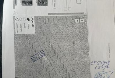 Teren Belis 1000mp - 5