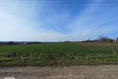 Spațiu comercial, în Valu lui Traian - 7