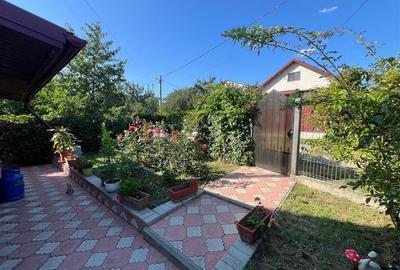 Casa 4 camere - Letcani - Popasul Mariei - 5