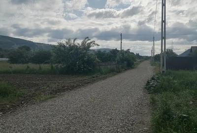 Teren de 3000 mp, în Central - 5