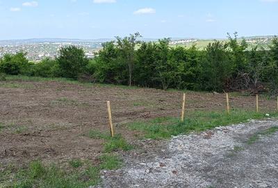 Teren de vânzare, 1079 m2(2parcele), Visan, jud.Iasi.Proprietar! - 6