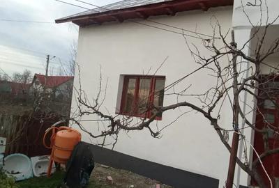 Vand casa la tara - 1