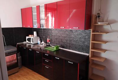 Apartament cu 2 camere nedecomandat în Pădurea Neagră - 5
