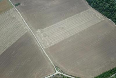 Teren de 300000 mp, în Bulbucata - 3