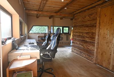 Problema e orașul. Soluția: un pârâu în curtea ta. Casa/Cabana Valea Fericirii - 8