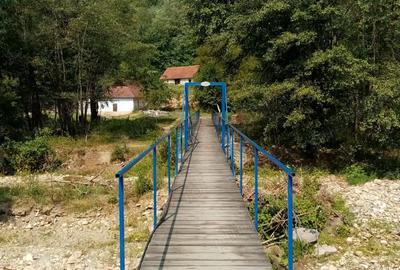 Casă cu 4 camere cu Teren 26000 Mp în Hălmagiu - 1