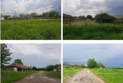 Industrial pretabil pt Parc Fotovoltaic - Fabrica rasini si vopsele - 6