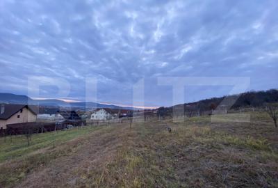 Teren de vanzare 10 ari intravilan | Zona Unirea | La d - 1