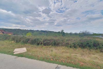 Teren Intravilan (1000 mp),situat in Danesti -Vacarea - 2