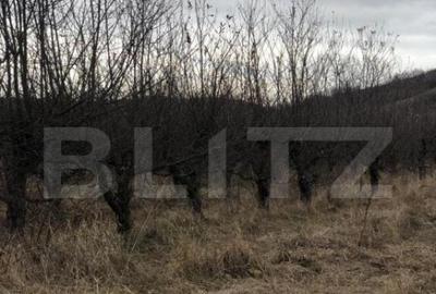 Teren de 3278 mp, în Central