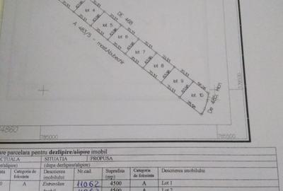 Teren agricol extravilan de 4500 mp, în Central - 2