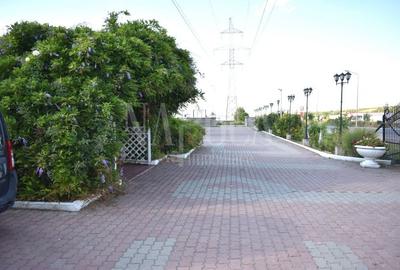 Teren intravilan de 30000 mp, în Episcopia Bihorului - 2