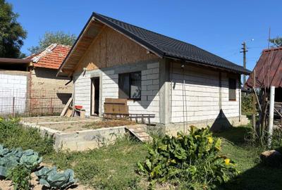 Casă cu 2 camere în Valea Pechii - 5