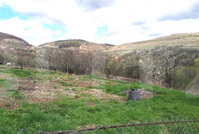 Teren de 800 mp, în Central - 7