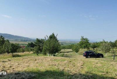 Teren de 3840 mp, în Orașu Nou - 4