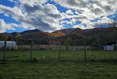 Teren intravilan | 500 mp autorizatie de constructi-de vanzare –Tocile - 1