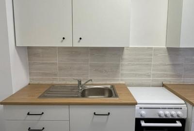 Stefan cel Mare, Tei renovat, mobilier nou 10 min. metrou Obor, proprietar - 3