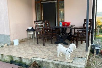 Casa de vanzare in Cartier DaVinci – 118 mp utili, teren generos de 640 mp - 3