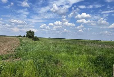 Teren de 2700 mp, în Dragomirești-Vale - 1