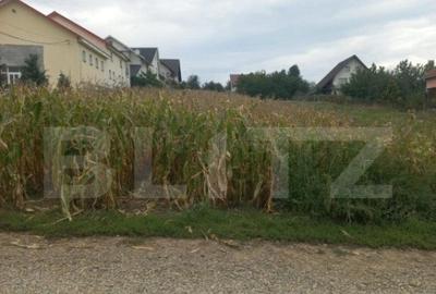 Teren intravilan, 2000 mp, zona Ipotesti - 1