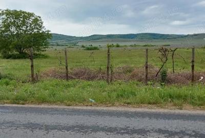 Teren de 11780 mp, în Merei - 8
