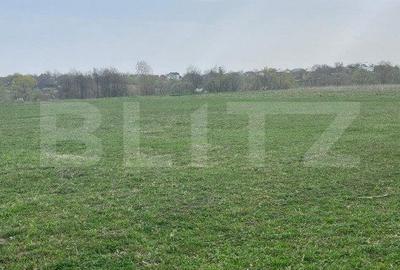 Spațiu comercial, în Marginea - 1