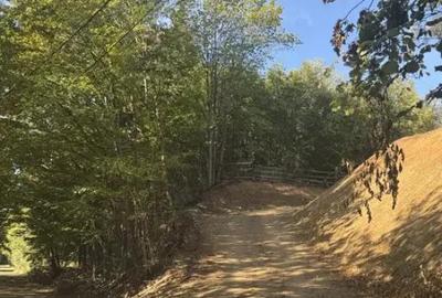 Teren de 5921 mp, în Sucevița - 1