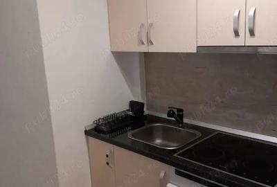 Garsonieră semidecomandată în Burdea - 4