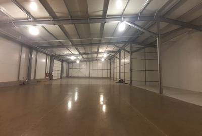 Spațiu industrial, 720 mp în Nord-Vest