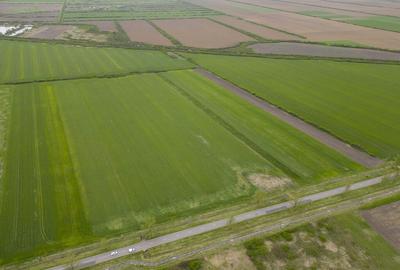 Teren extravilan de 22500mp Zona Ineu - 14