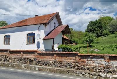 Casă cu 4 camere cu Teren 3166 Mp în Bejan - 5