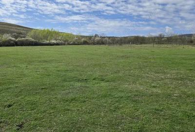 Teren de 703 mp, în Central - 5