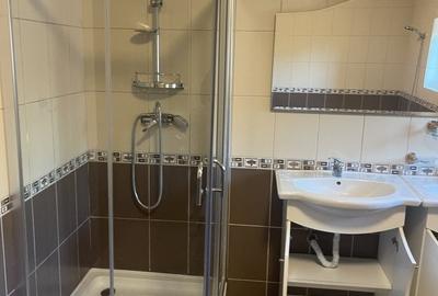 Vila individuala 7 camere de vanzare/inchiriere Iancu Nicolae - 20