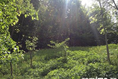 Teren de 2508 mp, în Aluniș