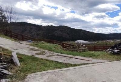Teren de 700 mp, în Vama - 4