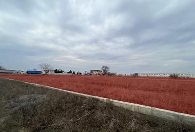Teren DN26 48000 m2 , vizavi STAER - 4