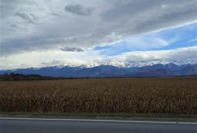 Teren 5000 mp langa E68 - 4