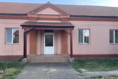 Vand casa caramida Peciu Nou - 3