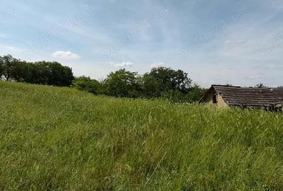 Teren de 925 mp, în Berceni - 7