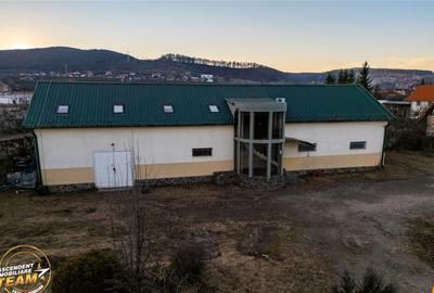 FILM! Spatiu comercial adaptabil:hala cladire birouri 3.272 - 1