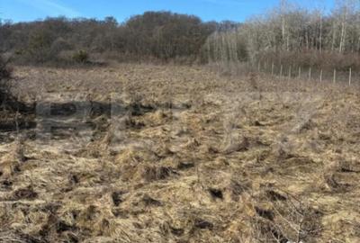 Teren în Florești - 1