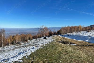 Teren de 5000 mp, în Clopotiva - 1