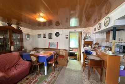 Casa saseasca de vanzare, curte, gradina, teren 3000 mp - Ji - 30