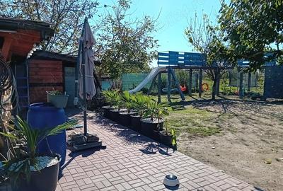 Casă cu 4 camere cu Teren 1350 Mp în Vărșand - 8
