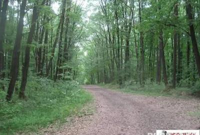 De vanzare teren cu casa inceputa - 3