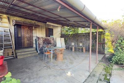 Casa de vinificatie 2 camere cu Teren 1389 mp - Gradina Viilor ,,Nyulhat,,-Carei Casa de vinificatie 2 camere cu Teren 1389 mp - Gradina Viilor ,,Nyulhat,,-Carei - 5