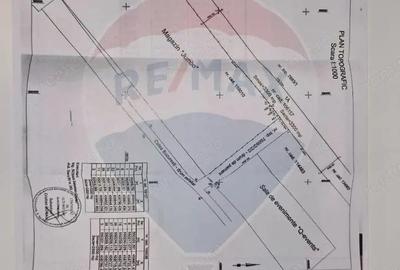 Teren de 5800 mp, în Calea București - 4