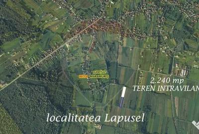 Teren de 2240 mp, în Lăpuș - 2